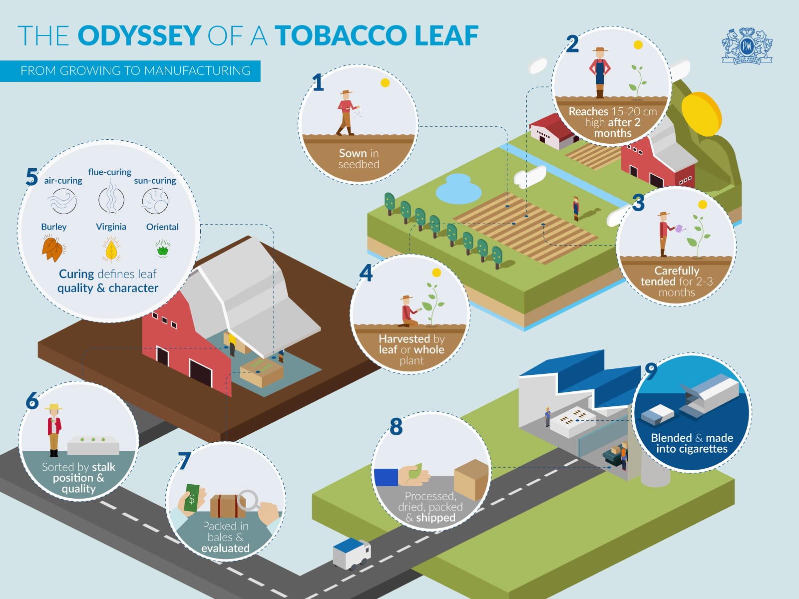 tobacco farming business plan pdf