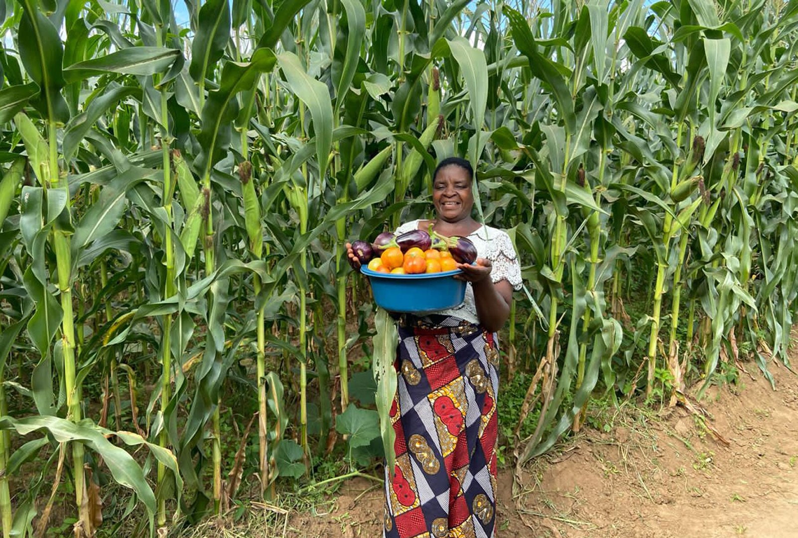 Farm worker in Malawi