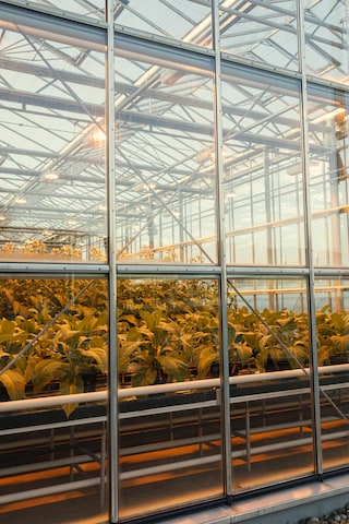 greenhouse sustainability