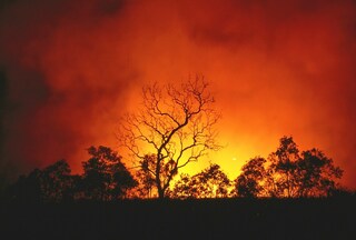 australia-bushfires-thumbnail