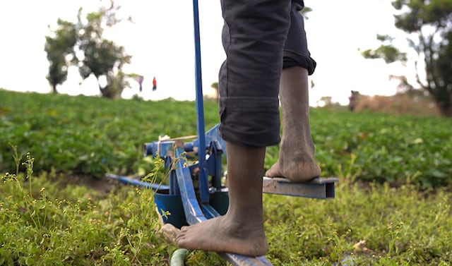 Treadle pumps in Mozambique